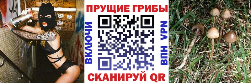 Галлюциногенные грибы прущие грибы  Усинск 