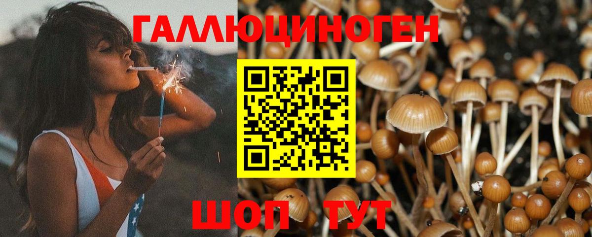 Галлюциногенные грибы мицелий Усинск