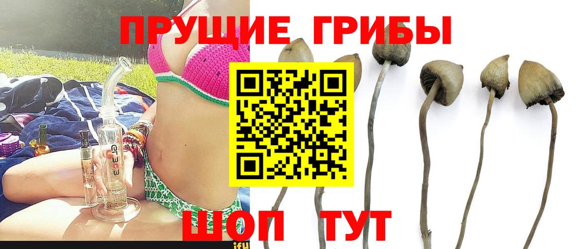Псилоцибиновые грибы ЛСД  Вход с VPN  Усинск 